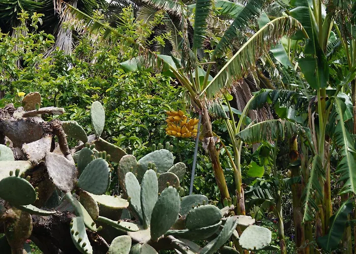 La Casita Del Jardinero