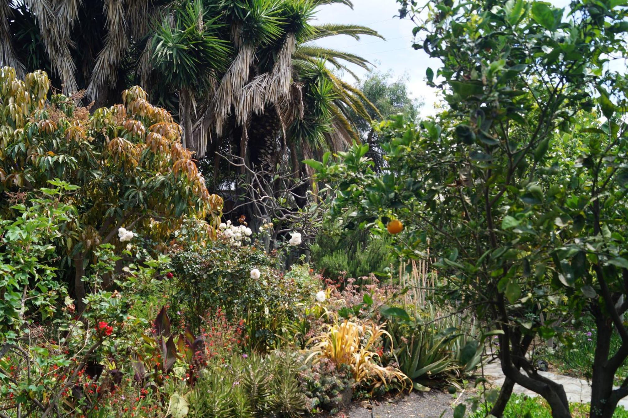 La Casita Del Jardinero *