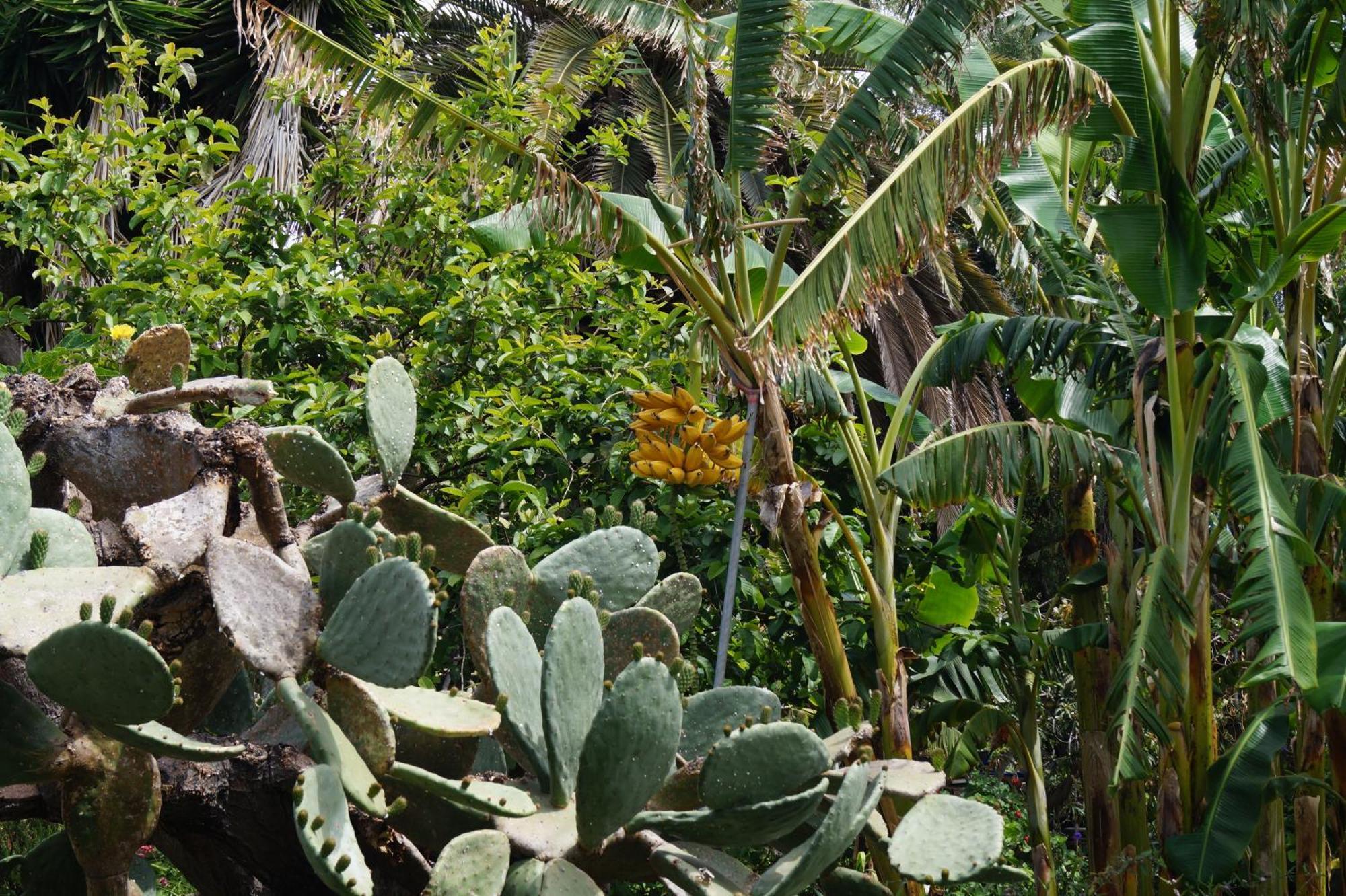 La Casita Del Jardinero
