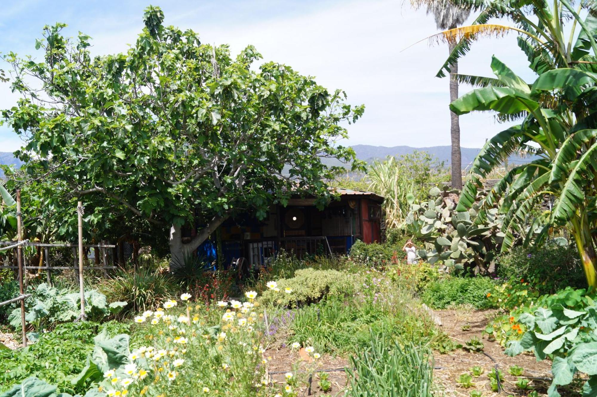 Hébergement de vacances La Casita Del Jardinero *